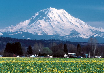 Mount Rainier, Washington